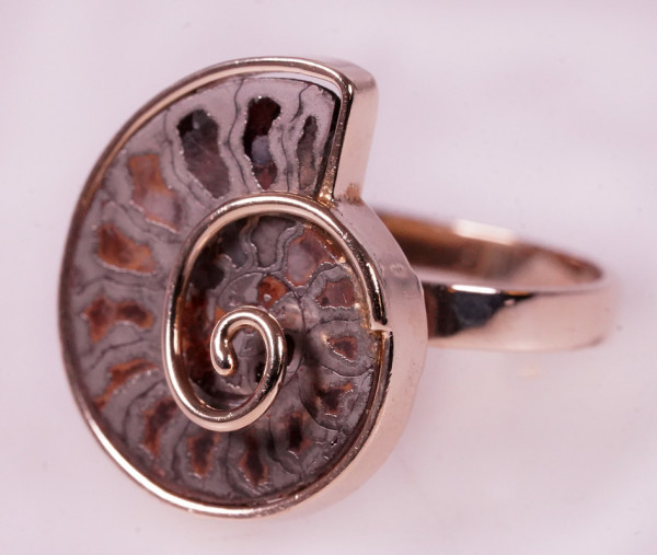 Handarbeit Fossil Ammonit Gold Ring Unikat Gr. 55